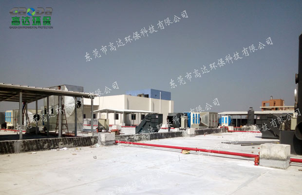 东莞海角社区免费版到达现场